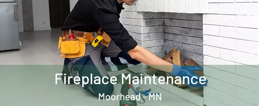  Fireplace Maintenance Moorhead - MN