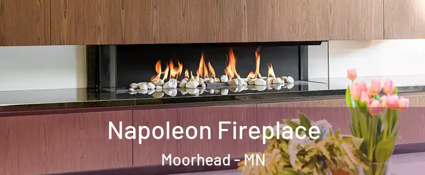 Napoleon Fireplace Moorhead - MN