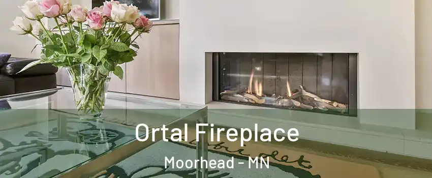 Ortal Fireplace Moorhead - MN